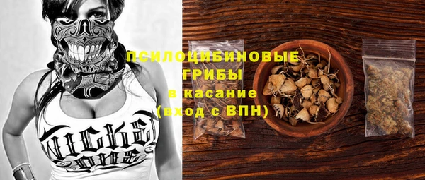 прущая мука Аркадак