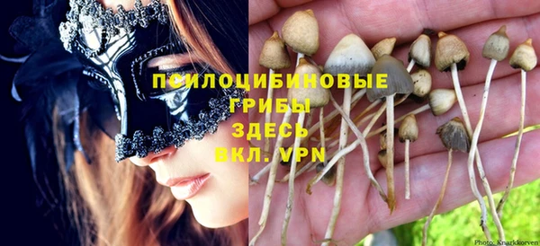прущая мука Аркадак