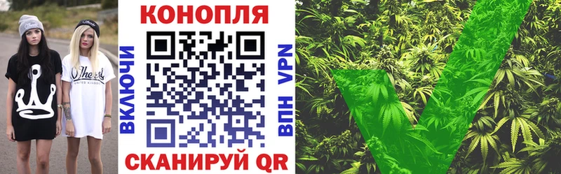 Бошки Шишки конопля  где можно купить наркотик  площадка состав  Почеп 